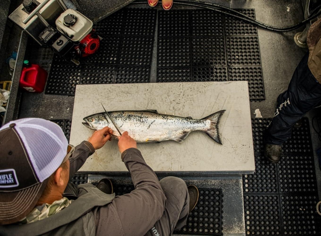 imageOUTDOOR EDGE Fish ampamp Bone Folding Fillet Knife with 50quot 440A Stainless Steel Blade for Fish and Processing Big Game Pocket ClipGreenBlack